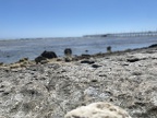 Dzień 4: Spacer po molo, safari quadami na pustyni i ognisty pokaz na plaży
