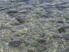 IMG 1144 (4930 visits) IMG 1144