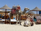 IMG 1143 (5009 visits) IMG 1143