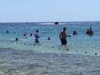 IMG 1152 (4948 visits) IMG 1152