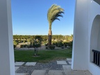 IMG 1457