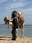 IMG 4804 (3614 visits) IMG 4804