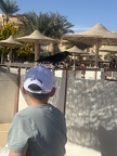IMG 4808 (3495 visits) IMG 4808