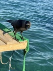 IMG 4814 (3651 visits) IMG 4814