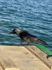 IMG 4815 (3628 visits) IMG 4815