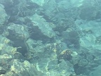 IMG 4818 (3616 visits) IMG 4818