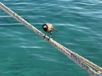 IMG 4822 (3496 visits) IMG 4822