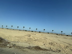 IMG 4446